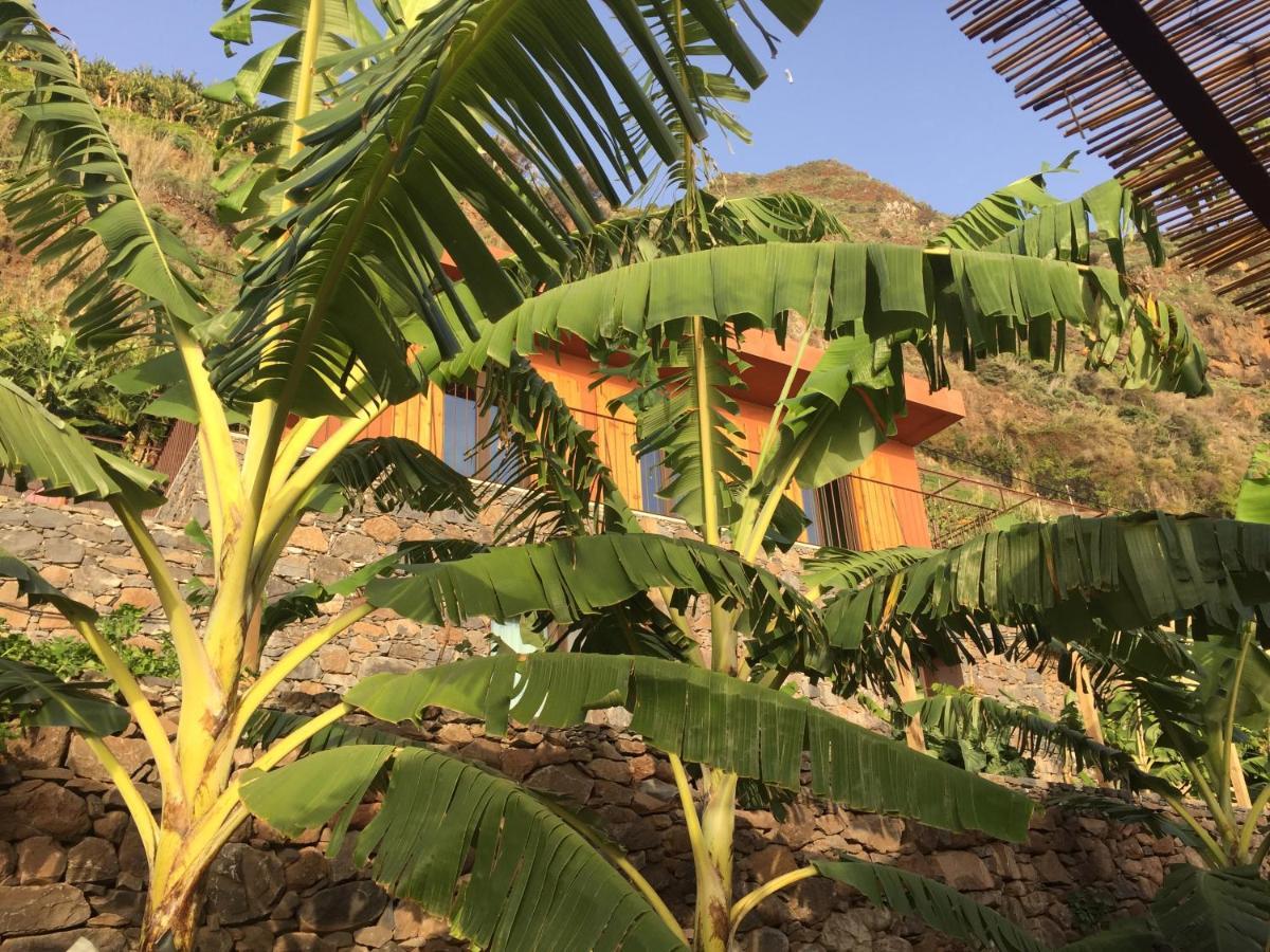 Villa Mango House à Arco da Calheta  Extérieur photo